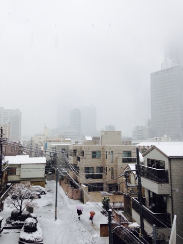 東京は雪