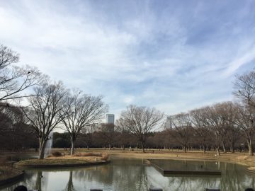 2月の代々木公園噴水前