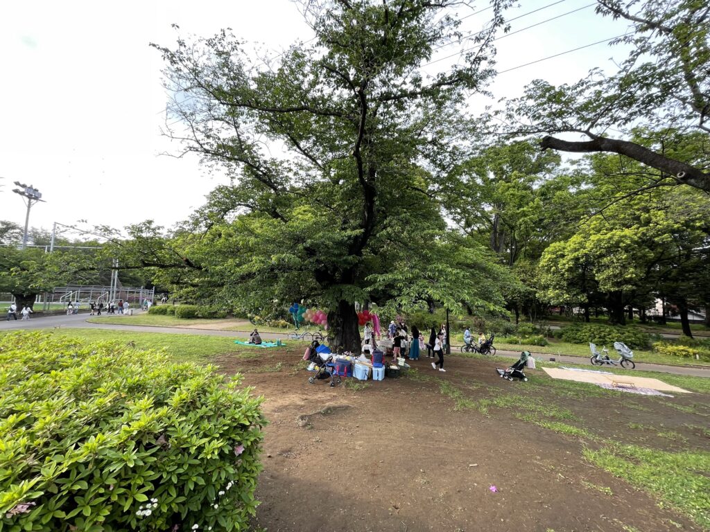 木の右側でショーを開催 3人の子供の屋外合同バースデーパーティーに出張マジシャン 駒沢公園, 世田谷区
