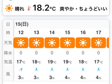 暖かい天気 6歳の女の子の誕生パーティーでマジシャンのマジックショー 東京都町田市