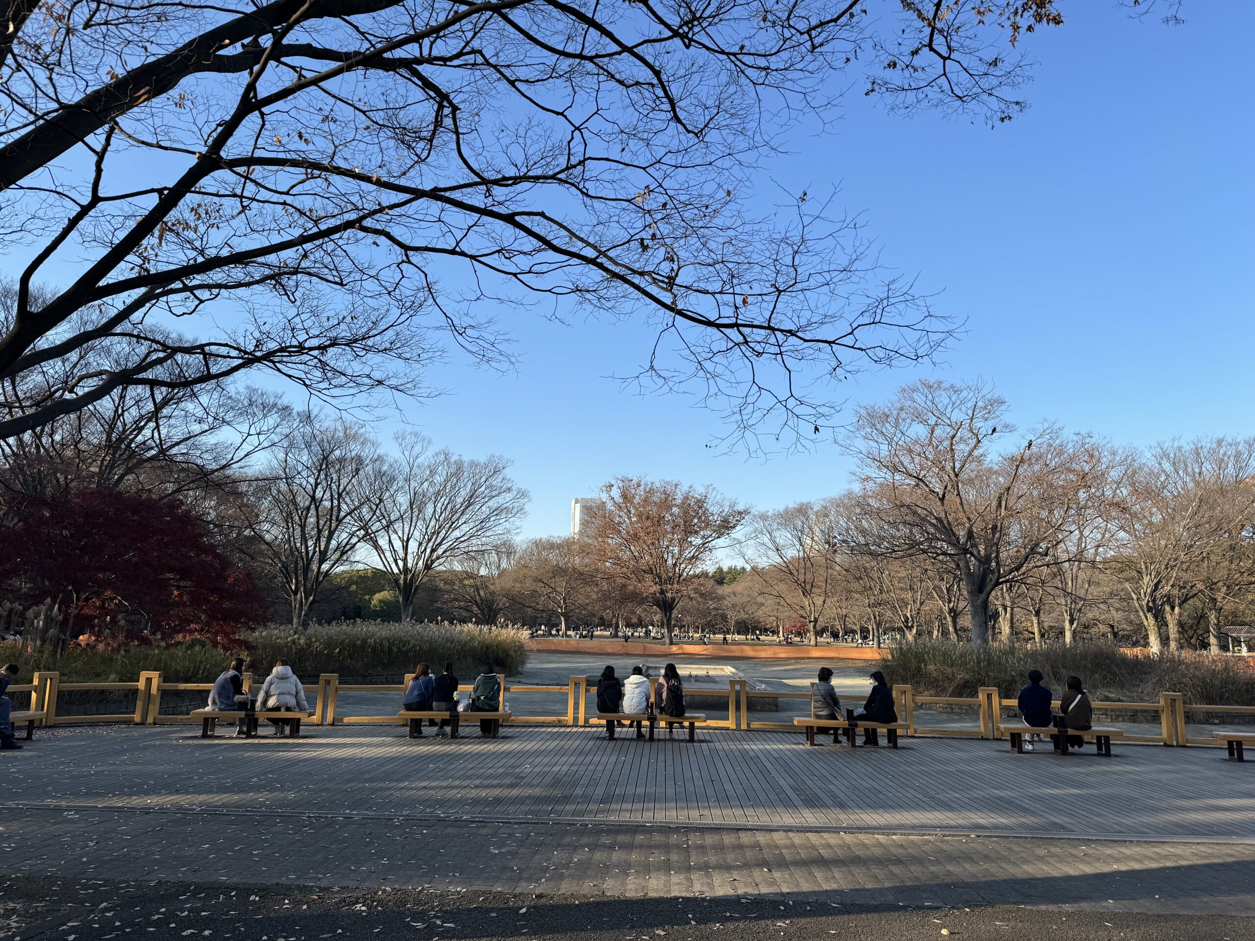 水のない代々木公園の噴水池